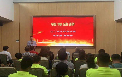 江门农技驿站玩出新花样 两大“农业网红”打卡地，技术推广服务再升级