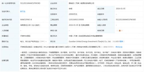 国家电投新能源投资公司成立 引领绿色转型，加速技术推广服务